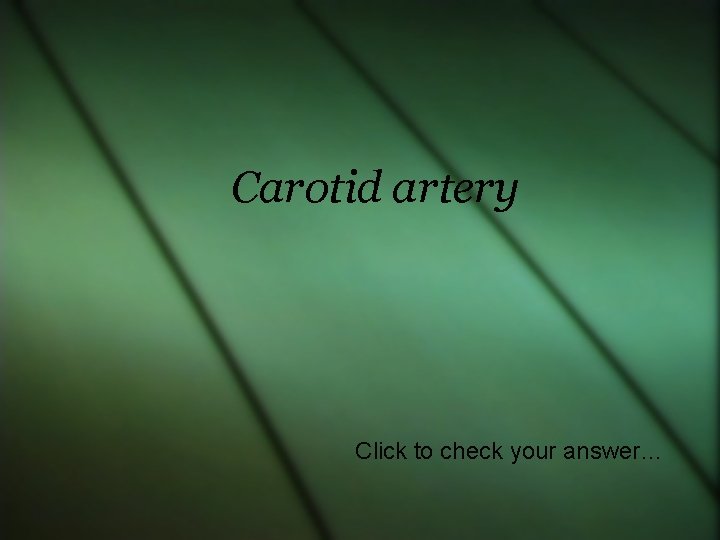 Carotid artery Click to check your answer… 