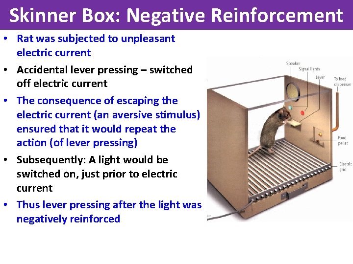 Skinner Box: Negative Reinforcement • Rat was subjected to unpleasant electric current • Accidental