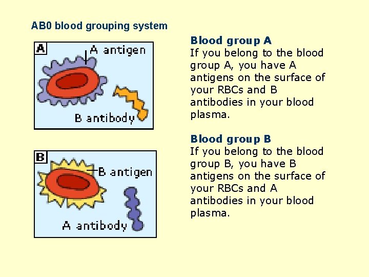 AB 0 blood grouping system Blood group A If you belong to the blood