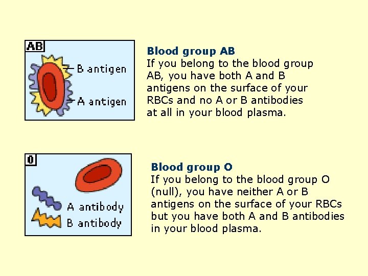 Blood group AB If you belong to the blood group AB, you have both