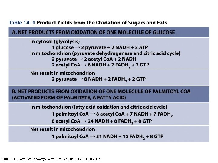 Table 14 -1 Molecular Biology of the Cell (© Garland Science 2008)  Table 14 -1 Molecular Biology of the Cell (© Garland Science 2008)