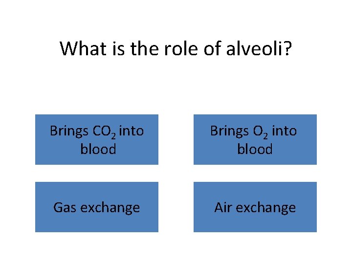 What is the role of alveoli? Brings CO 2 into blood Brings O 2