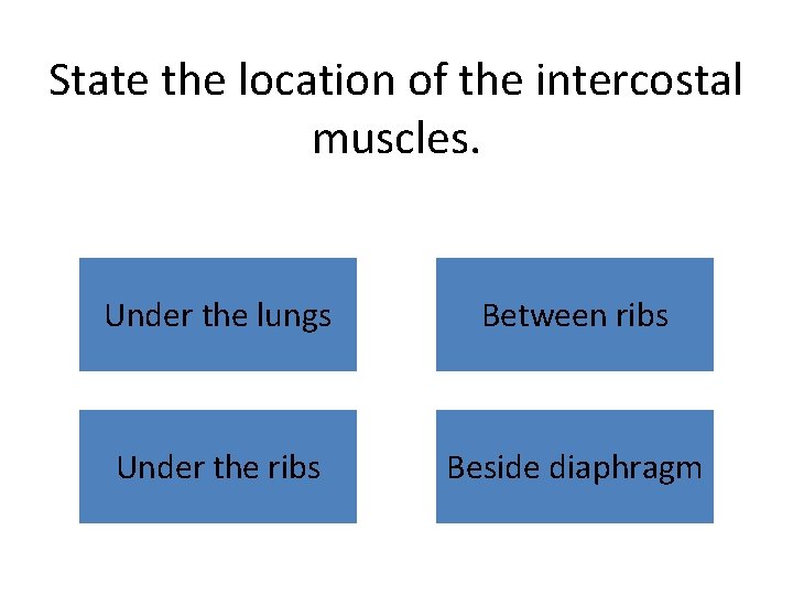 State the location of the intercostal muscles. Under the lungs Between ribs Under the