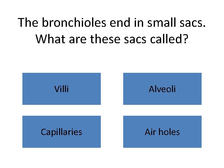 The bronchioles end in small sacs. What are these sacs called? Villi Alveoli Capillaries