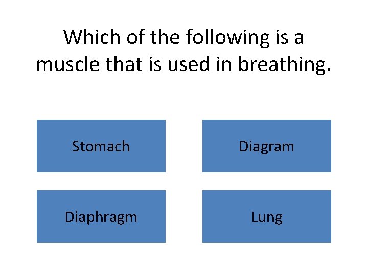 Which of the following is a muscle that is used in breathing. Stomach Diagram