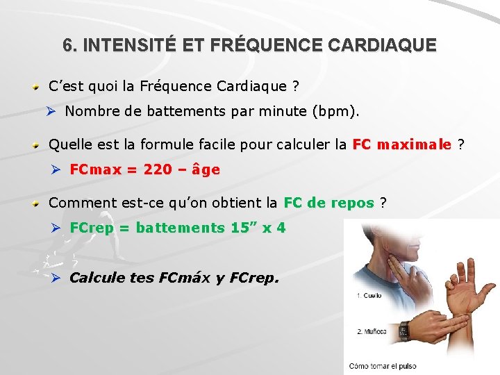 6. INTENSITÉ ET FRÉQUENCE CARDIAQUE C’est quoi la Fréquence Cardiaque ? Ø Nombre de