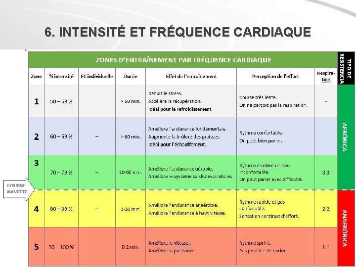 6. INTENSITÉ ET FRÉQUENCE CARDIAQUE 