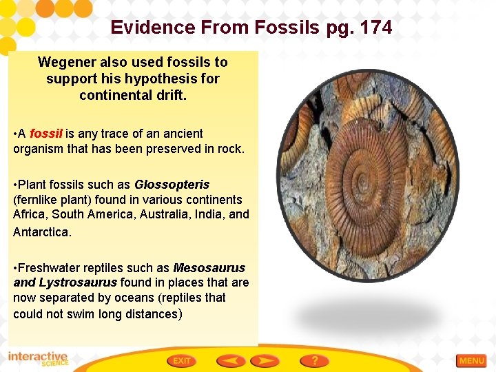 Evidence From Fossils pg. 174 Wegener also used fossils to support his hypothesis for