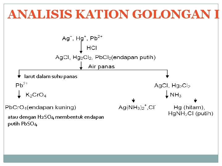 ANALISIS KATION GOLONGAN I larut dalam suhu panas atau dengan H 2 SO 4