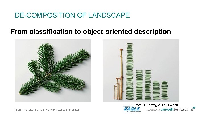 DE-COMPOSITION OF LANDSCAPE From classification to object-oriented description Fotos: © Copyright Ursus Wehrli |