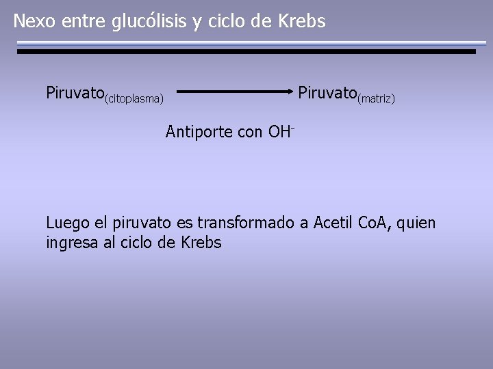 Nexo entre glucólisis y ciclo de Krebs Piruvato(citoplasma) Piruvato(matriz) Antiporte con OH- Luego el