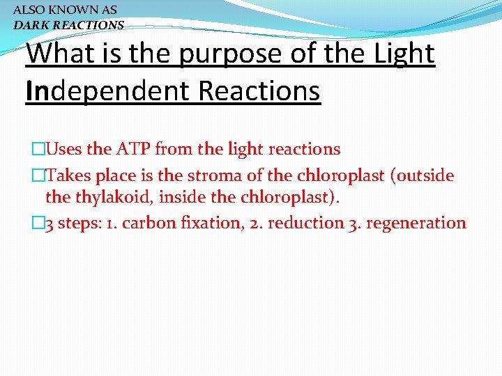 ALSO KNOWN AS DARK REACTIONS What is the purpose of the Light Independent Reactions