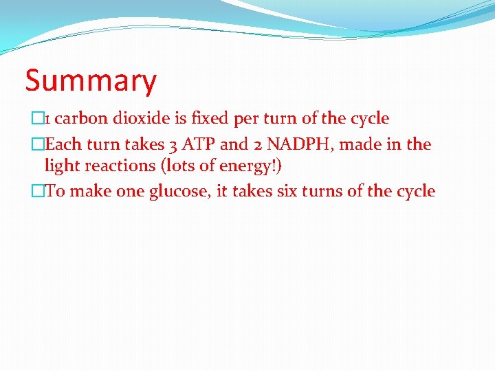 Summary � 1 carbon dioxide is fixed per turn of the cycle �Each turn
