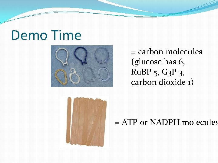 Demo Time = carbon molecules (glucose has 6, Ru. BP 5, G 3 P