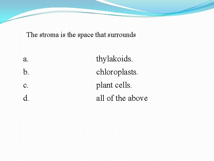 The stroma is the space that surrounds a. thylakoids. b. chloroplasts. c. plant cells.