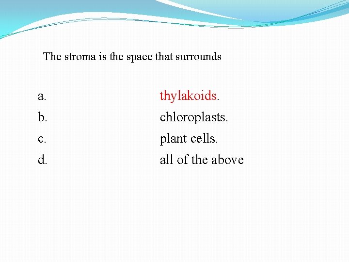 The stroma is the space that surrounds a. thylakoids. b. chloroplasts. c. plant cells.