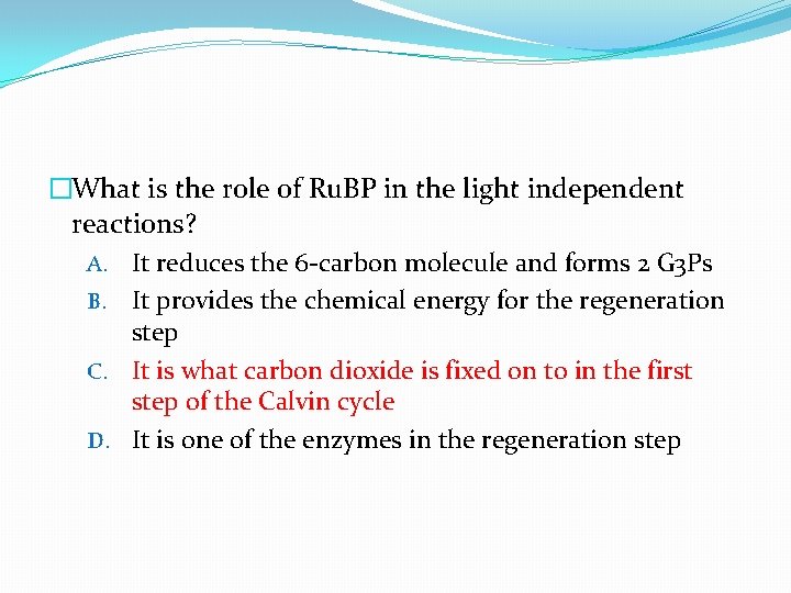 �What is the role of Ru. BP in the light independent reactions? A. It