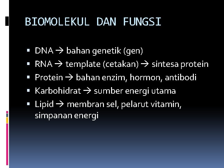 BIOMOLEKUL DAN FUNGSI DNA bahan genetik (gen) RNA template (cetakan) sintesa protein Protein bahan
