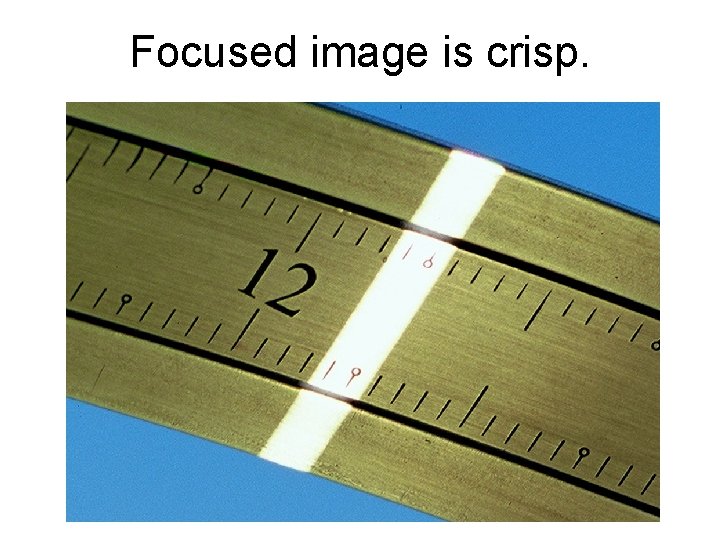 Focused image is crisp. 