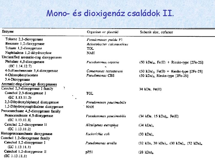 Mono- és dioxigenáz családok II. 