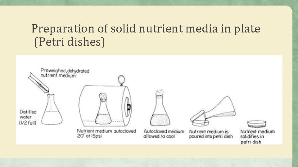 Preparation of solid nutrient media in plate (Petri dishes) 