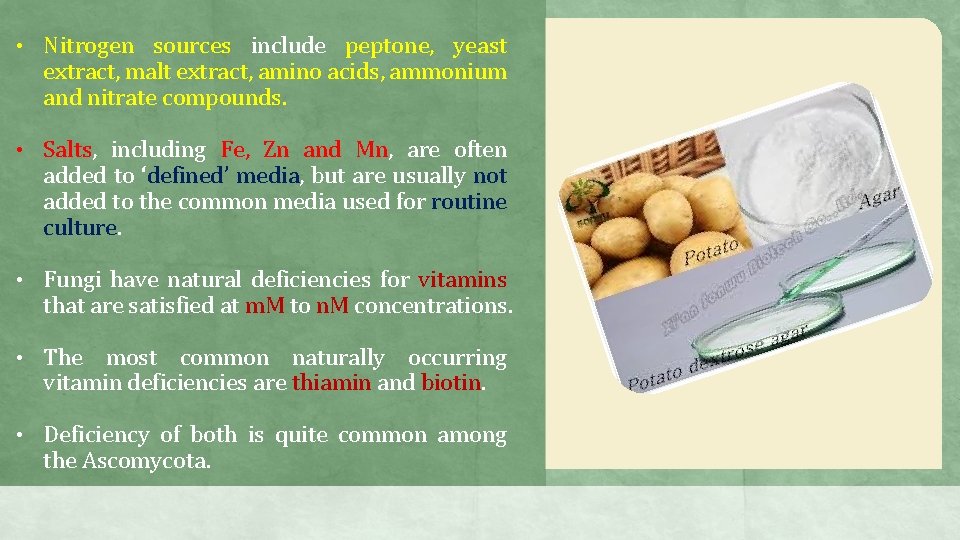  • Nitrogen sources include peptone, yeast extract, malt extract, amino acids, ammonium and