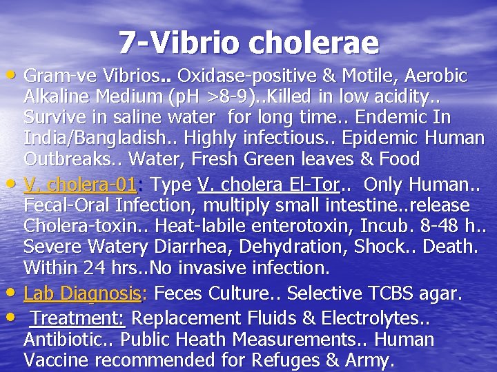 7 -Vibrio cholerae • Gram-ve Vibrios. . Oxidase-positive & Motile, Aerobic • • •