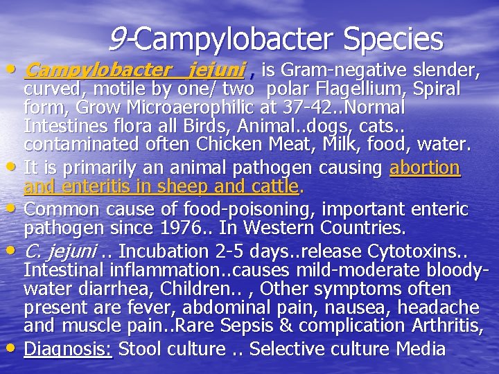 9 -Campylobacter Species • Campylobacter jejuni , is Gram-negative slender, • • curved, motile