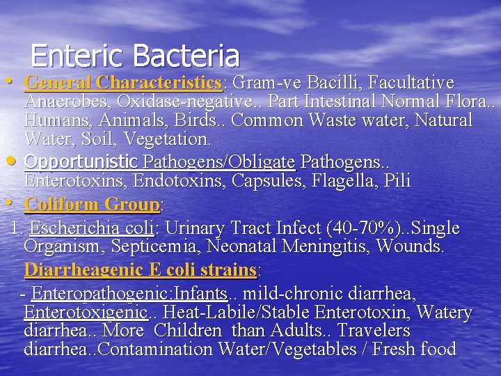 Enteric Bacteria • General Characteristics: Gram-ve Bacilli, Facultative Anaerobes, Oxidase-negative. . Part Intestinal Normal