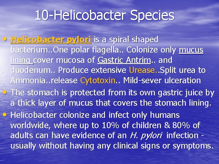10 -Helicobacter Species • Helicobacter pylori is a spiral shaped • • bacterium. .
