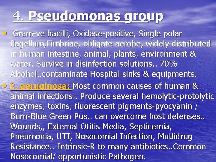 4. Pseudomonas group • Gram-ve bacilli, Oxidase-positive, Single polar • flagellum, Fimbriae, obligate aerobe,