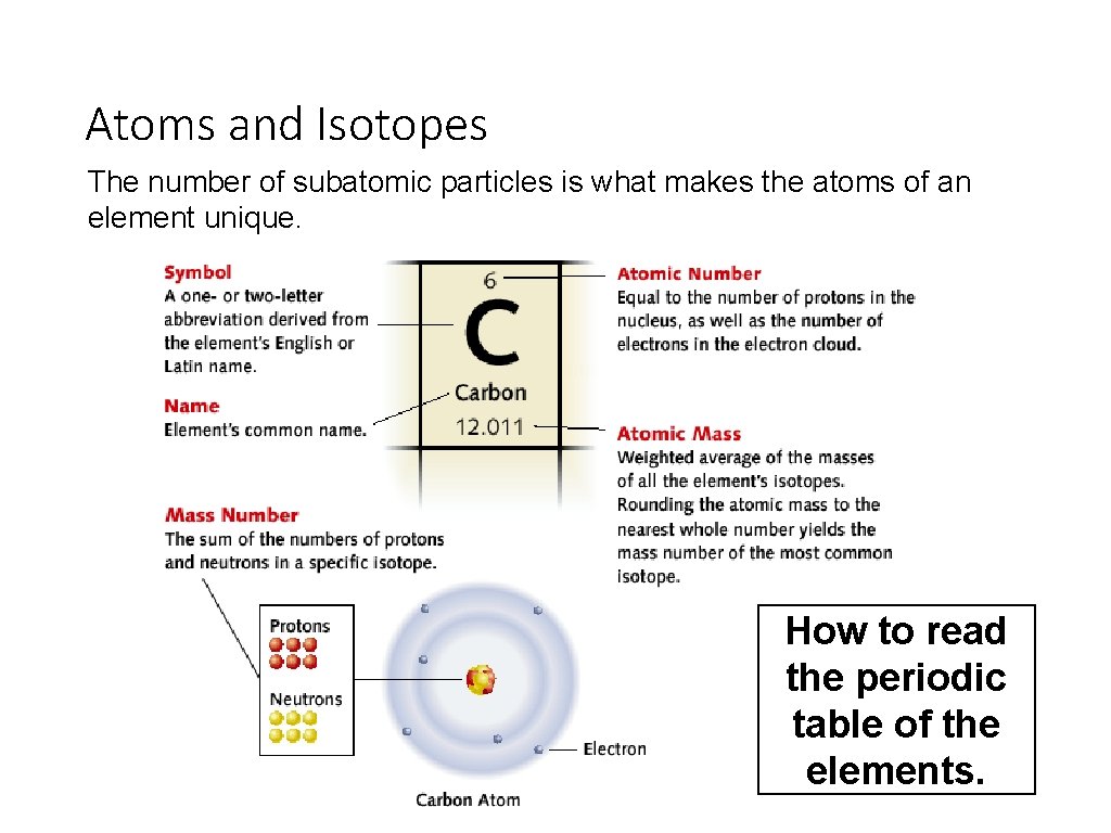 Atoms and Isotopes The number of subatomic particles is what makes the atoms of
