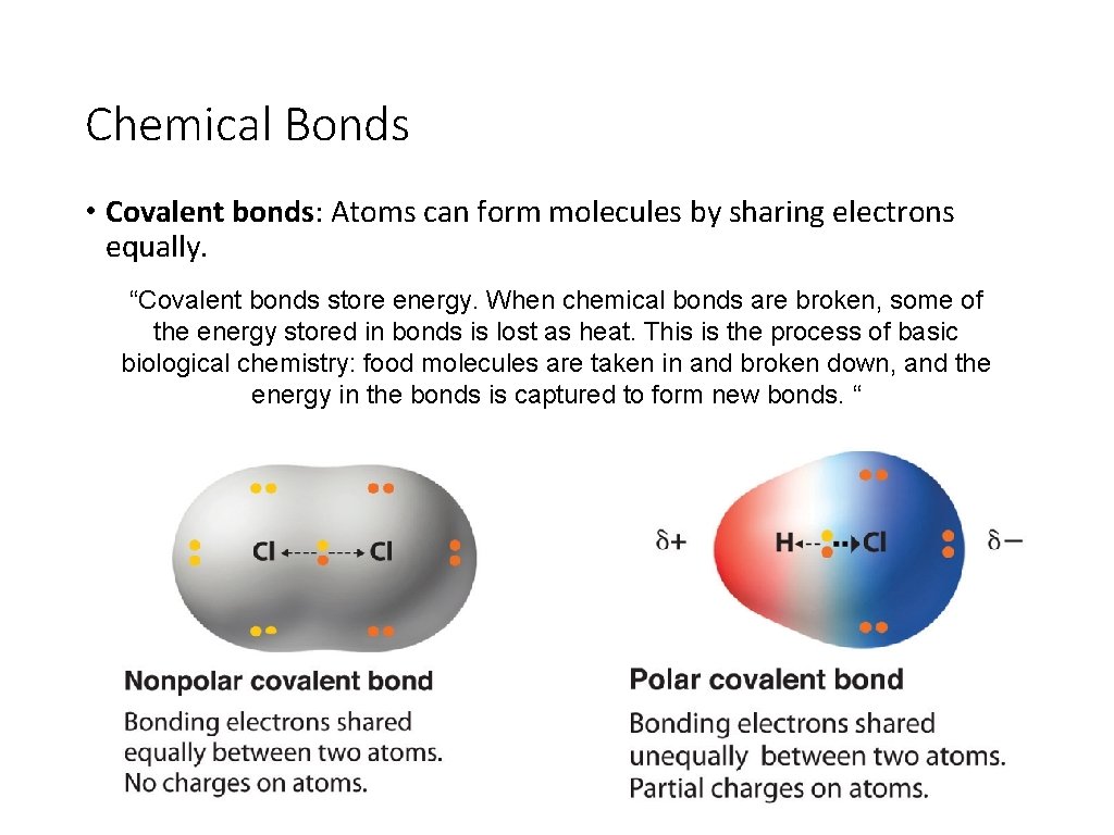 Chemical Bonds • Covalent bonds: Atoms can form molecules by sharing electrons equally. “Covalent