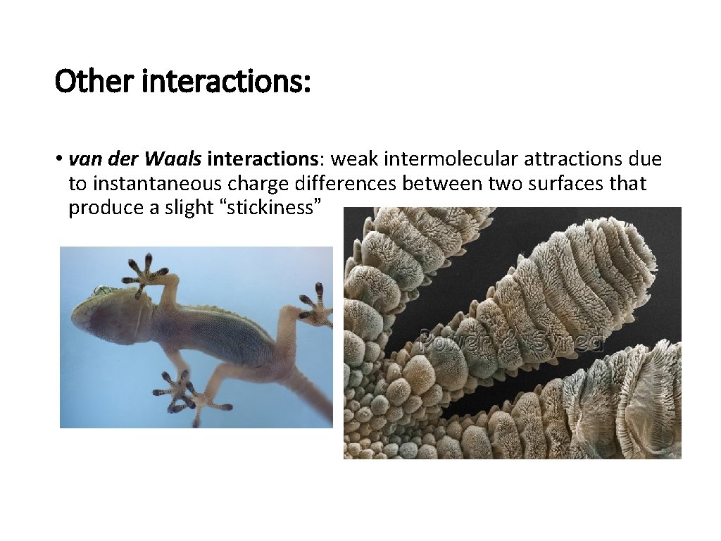 Other interactions: • van der Waals interactions: weak intermolecular attractions due to instantaneous charge