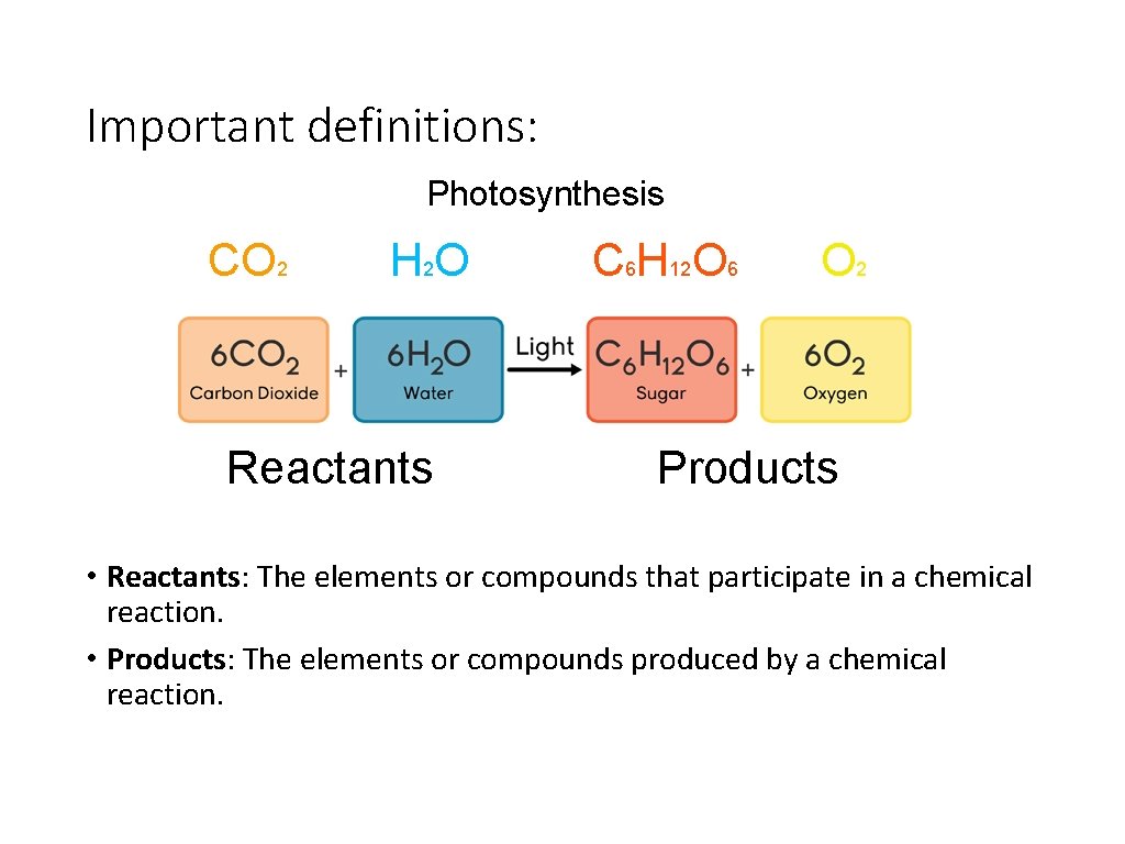 Important definitions: Photosynthesis CO 2 H 2 O Reactants C 6 H 12 O