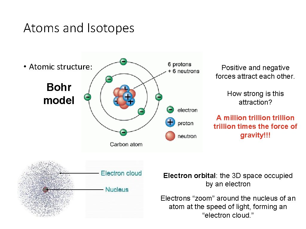 Atoms and Isotopes • Atomic structure: Bohr model Positive and negative forces attract each