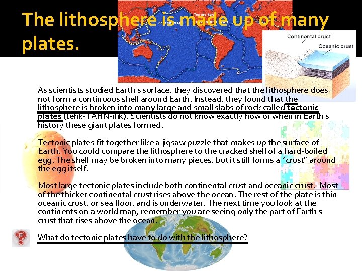 The lithosphere is made up of many plates. As scientists studied Earth's surface, they