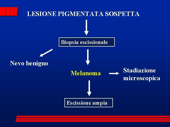 LESIONE PIGMENTATA SOSPETTA Biopsia escissionale Nevo benigno Melanoma Escissione ampia Stadiazione microscopica 
