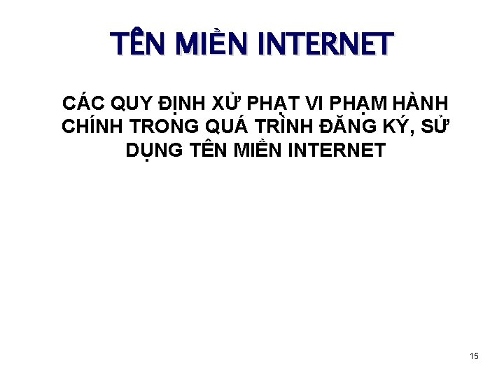 TÊN MIỀN INTERNET CÁC QUY ĐỊNH XỬ PHẠT VI PHẠM HÀNH CHÍNH TRONG QUÁ