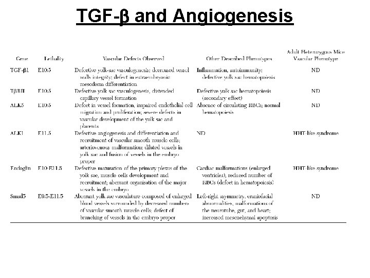 TGF-b and Angiogenesis 