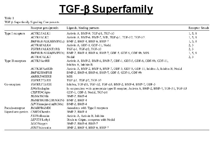 TGF-b Superfamily 