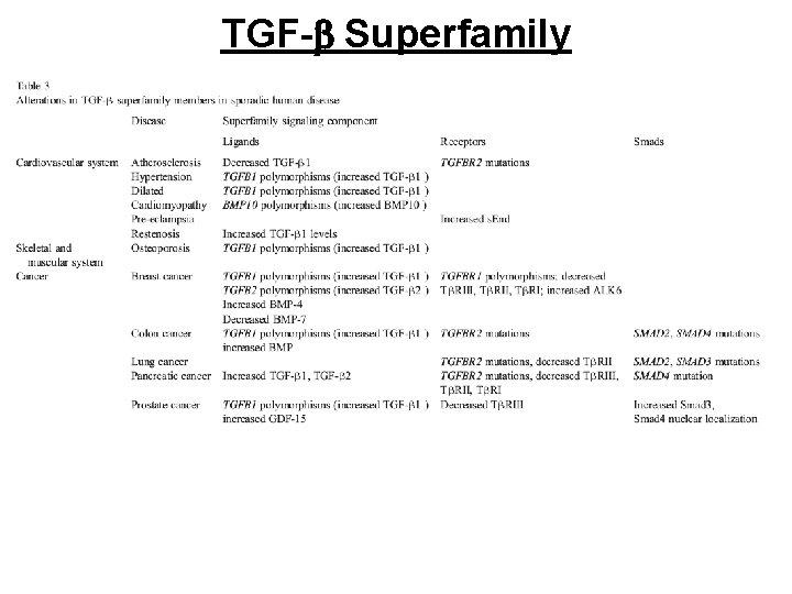 TGF-b Superfamily 