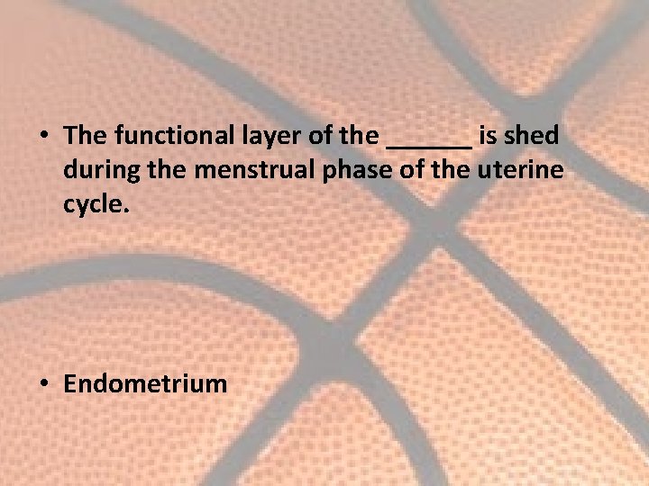  • The functional layer of the ______ is shed during the menstrual phase