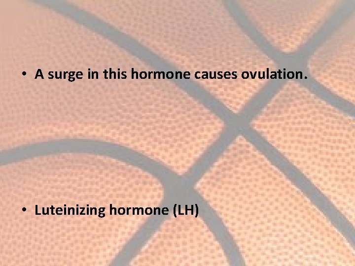  • A surge in this hormone causes ovulation. • Luteinizing hormone (LH) 