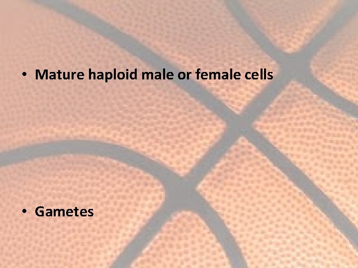  • Mature haploid male or female cells • Gametes 