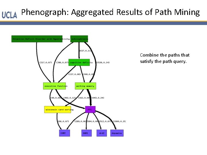 Phenograph: Aggregated Results of Path Mining Combine the paths that satisfy the path query.