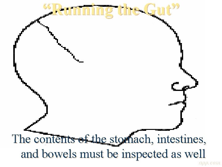 “Running the Gut” The contents of the stomach, intestines, and bowels must be inspected