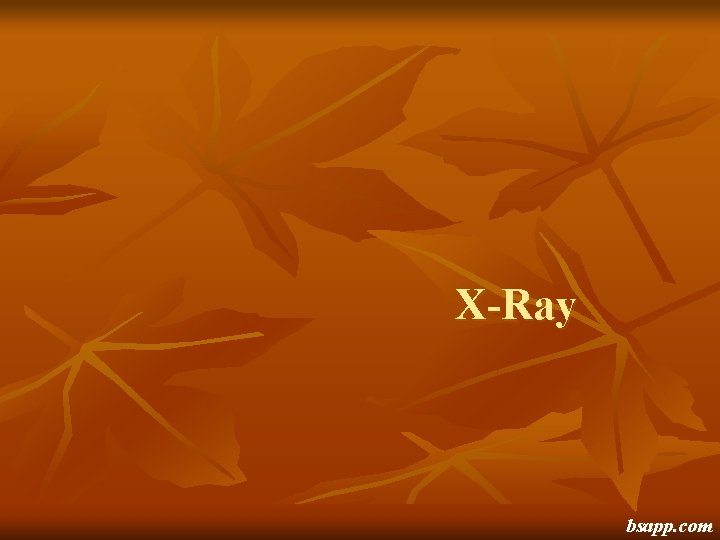 X-Ray bsapp. com 