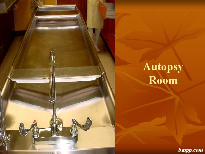 Autopsy Room bsapp. com 