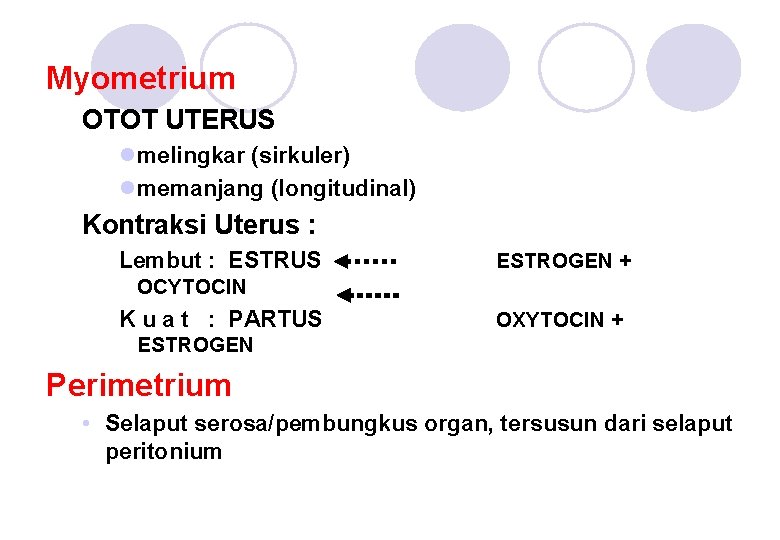 Myometrium OTOT UTERUS lmelingkar (sirkuler) lmemanjang (longitudinal) Kontraksi Uterus : Lembut : ESTRUS ESTROGEN